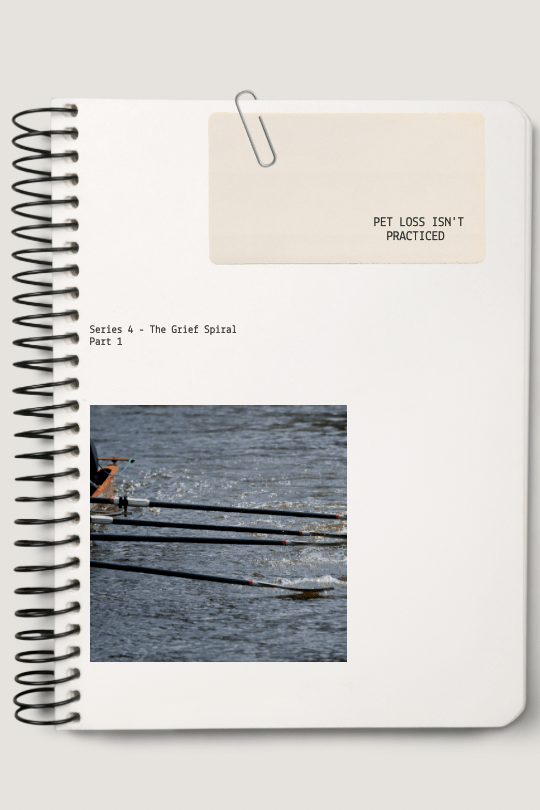 Pet Loss Is Not&nbsp;Practice