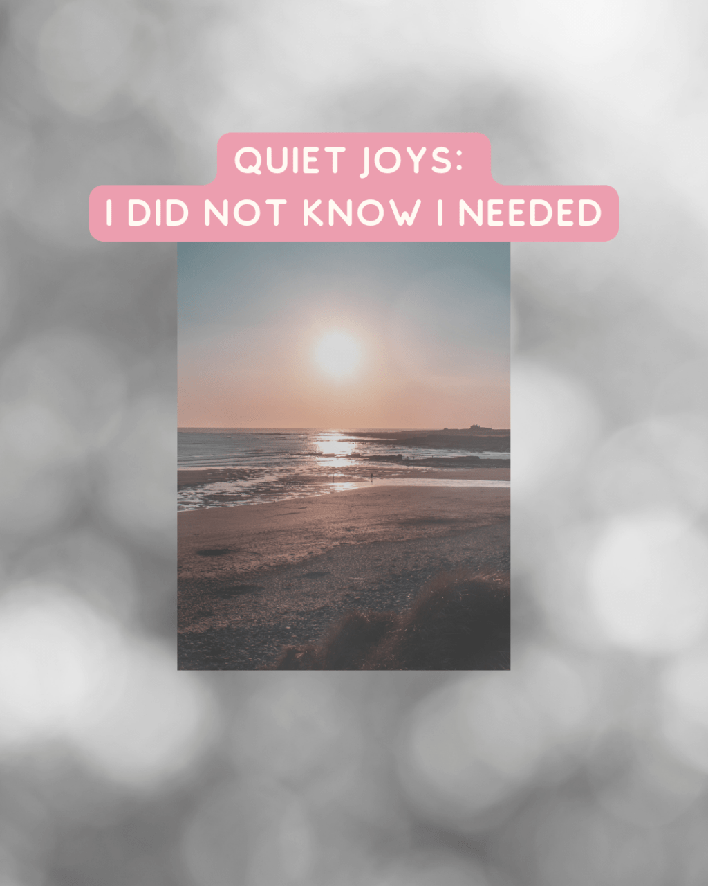 Quiet Joys I Did Not Know I&nbsp;Needed