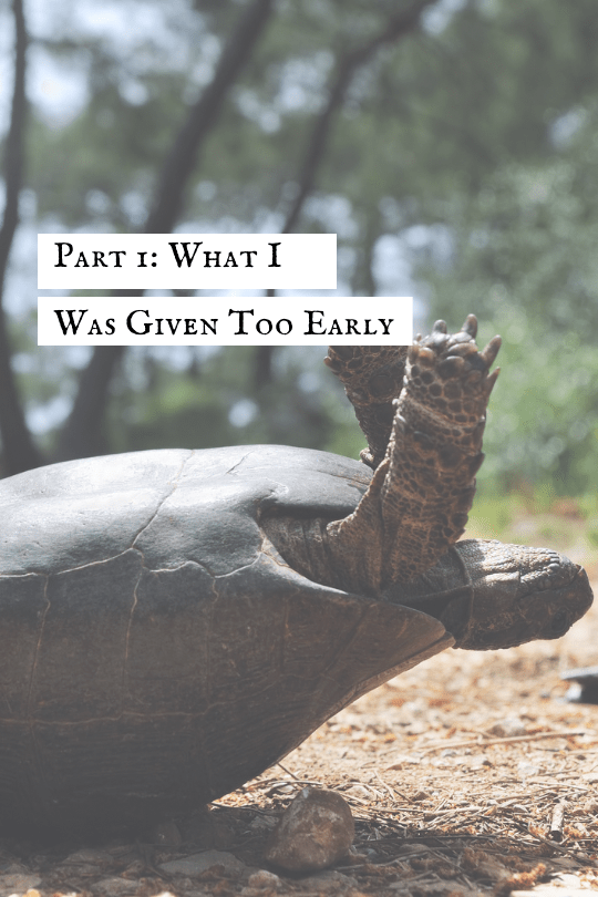 Part 1: What I Was Given Too&nbsp;Early