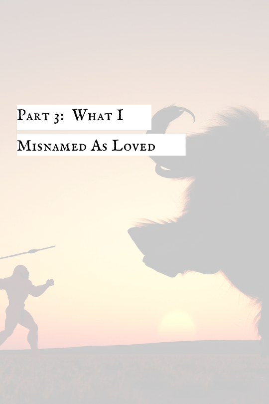 Part 3: What I Misnamed As&nbsp;Love
