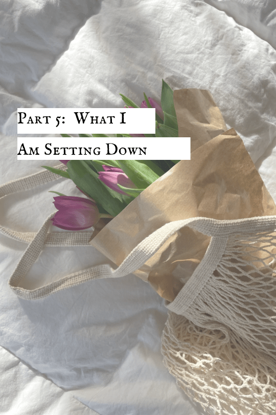 Part 5: What I Am Setting&nbsp;Down