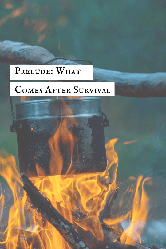 Prelude: What Comes After&nbsp;Survival